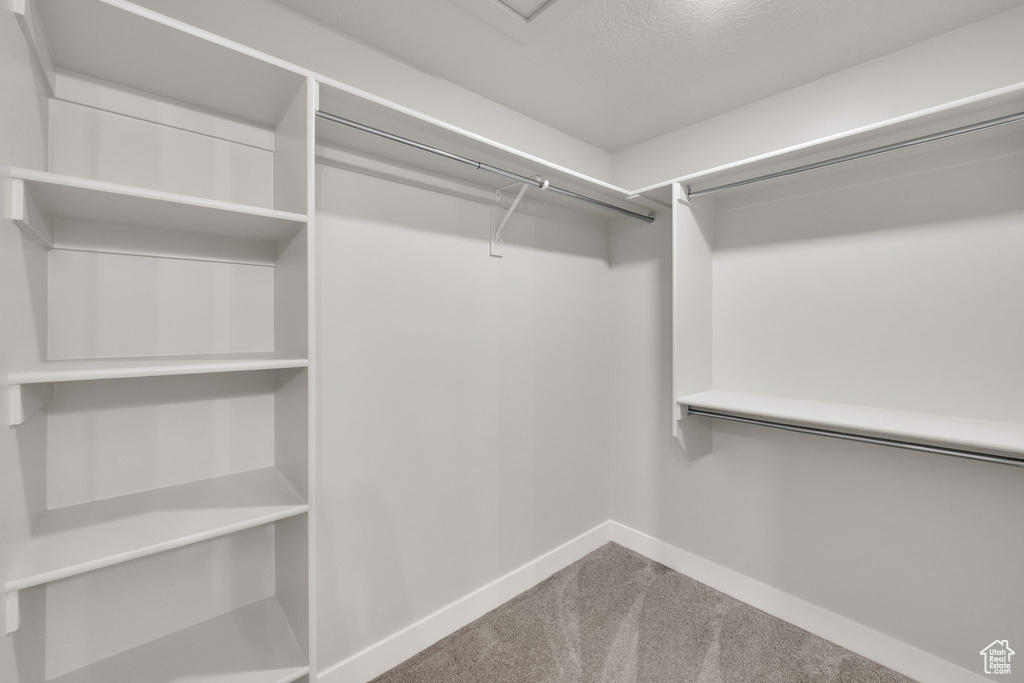 Walk in closet featuring carpet flooring
