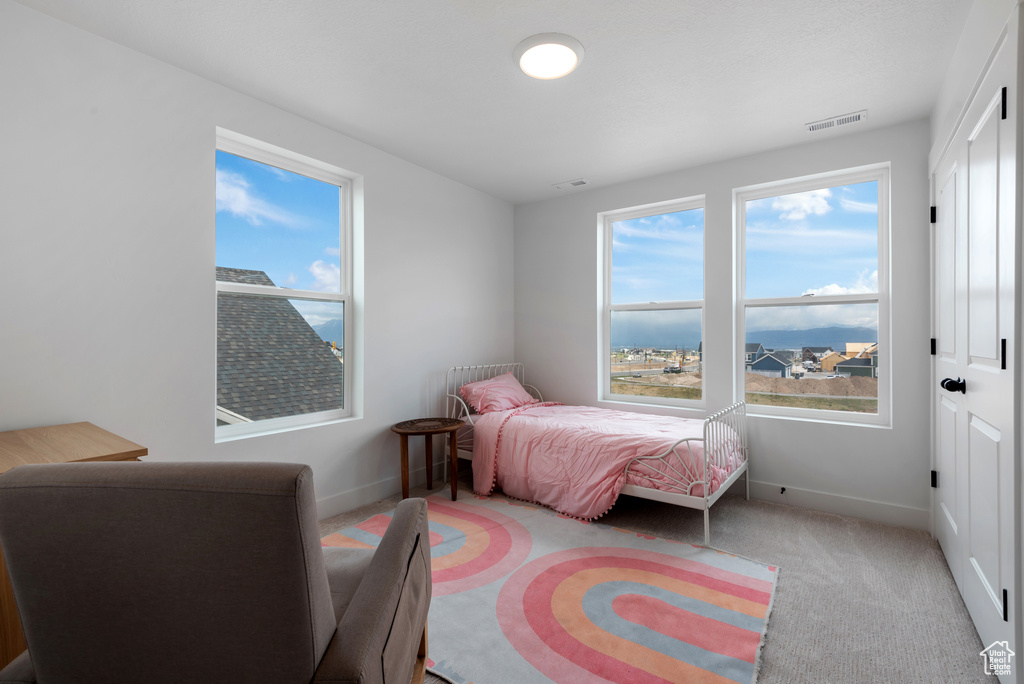 Carpeted bedroom with baseboards, visible vents, and multiple windows