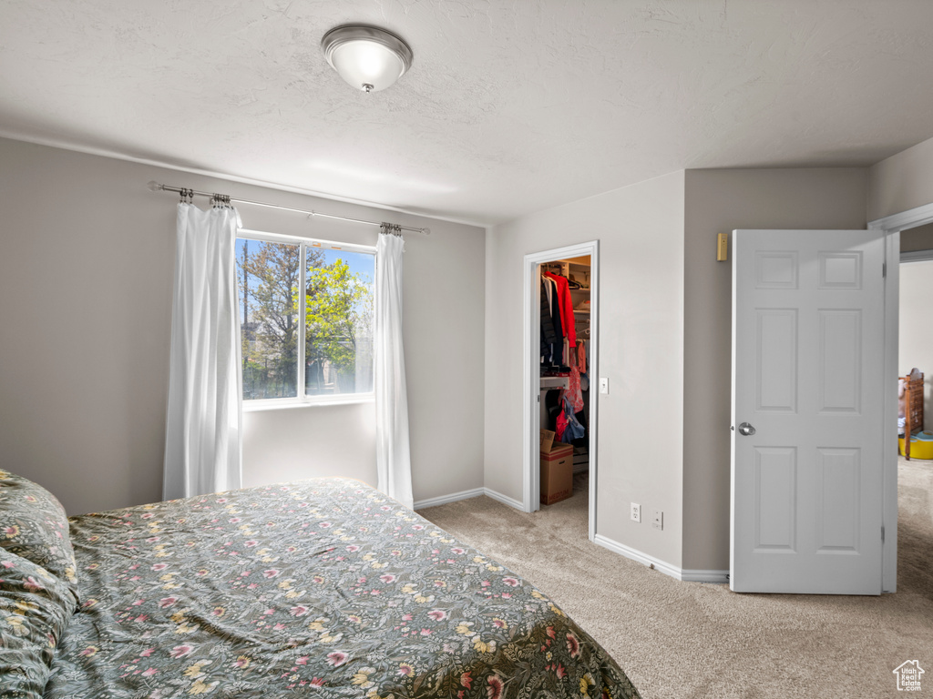 Carpeted bedroom featuring baseboards, a spacious closet, and a closet