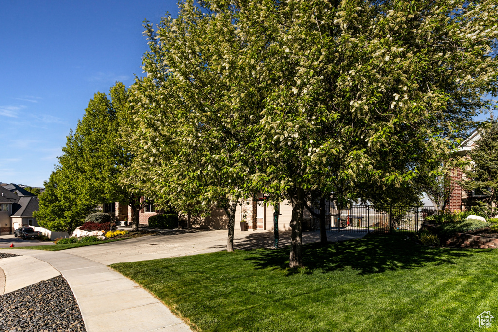 View of yard featuring fence and driveway