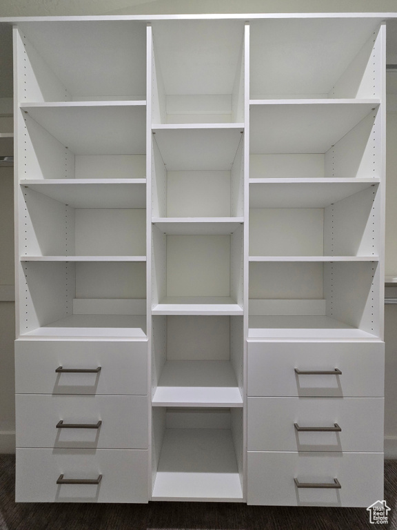 View of walk in closet