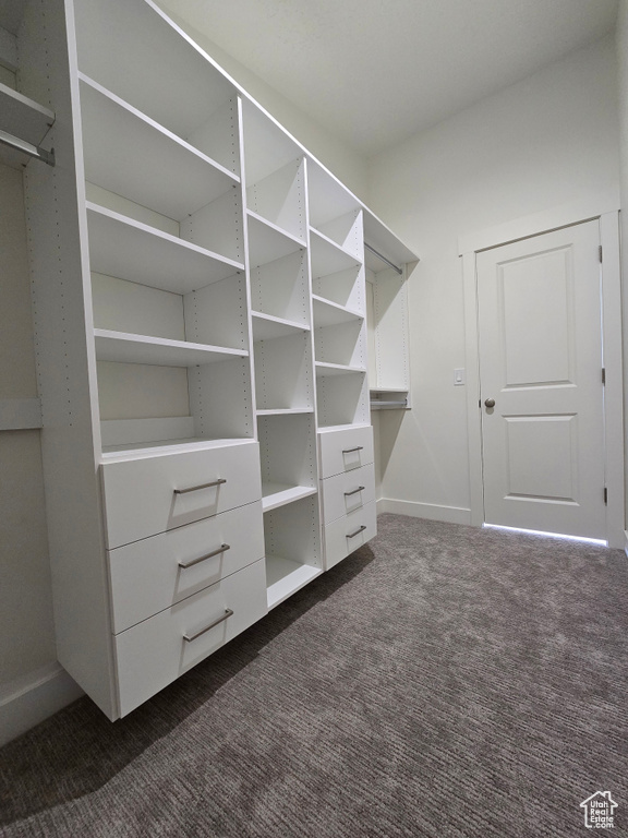 Spacious closet featuring dark carpet