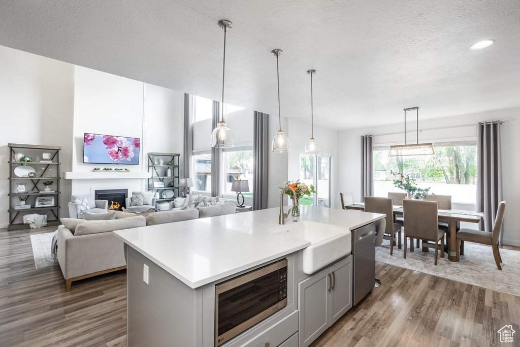 Kitchen with gray cabinets, wood finished floors, a sink, light countertops, and stainless steel appliances