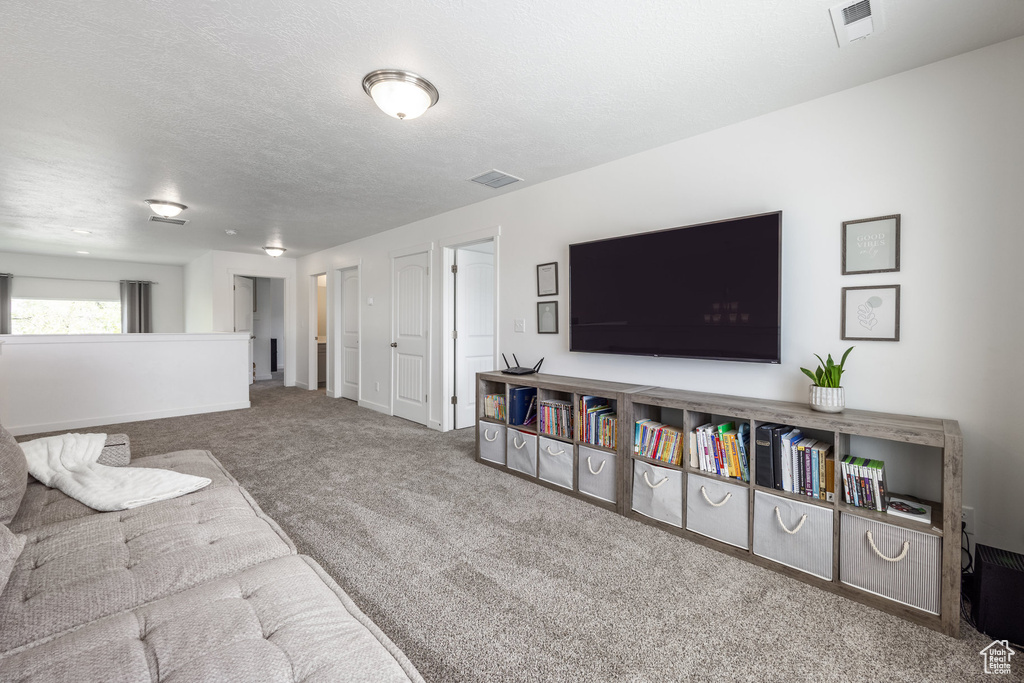 Living area with carpet floors, baseboards, and visible vents