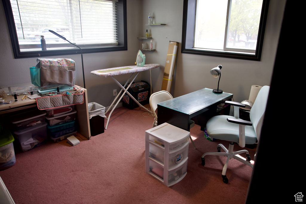 Carpeted office featuring plenty of natural light