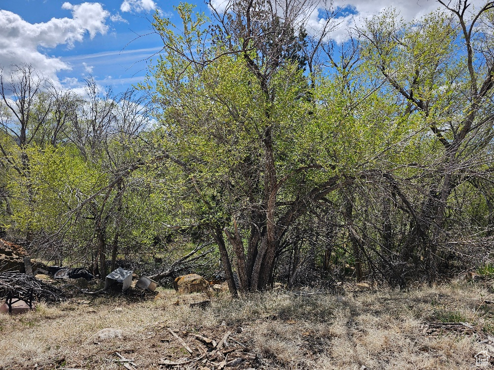 View of landscape