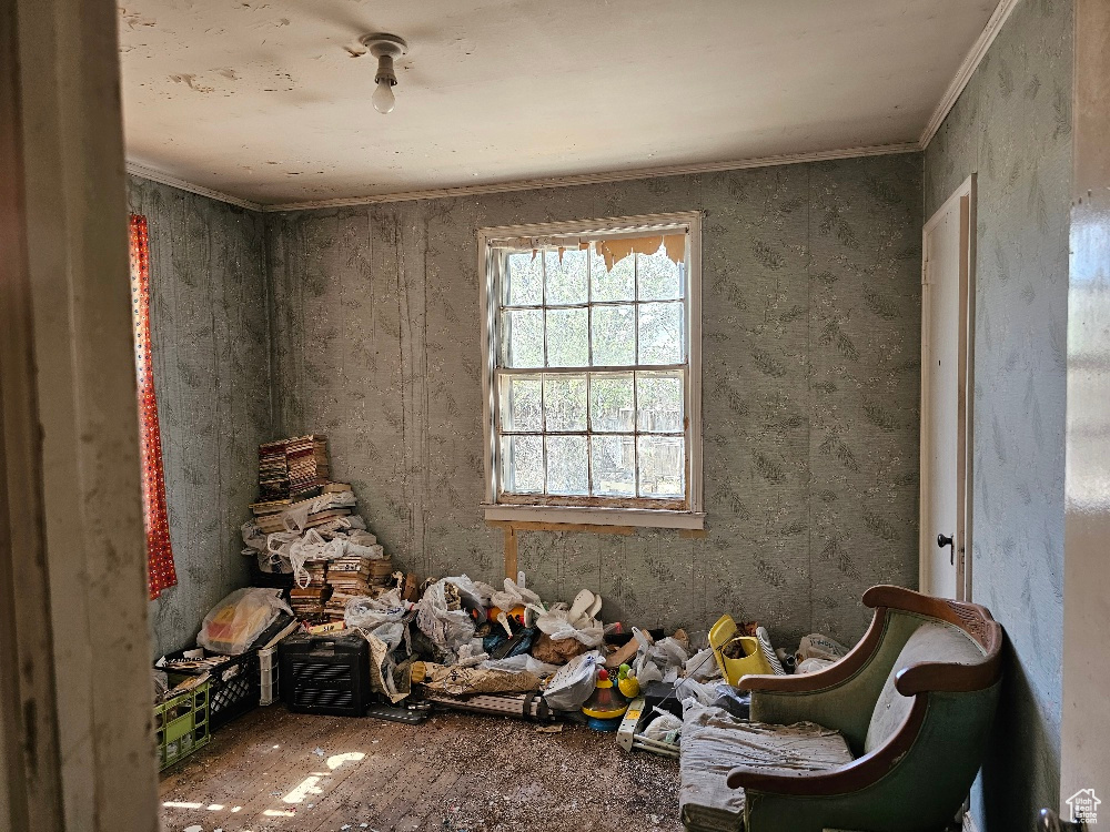 Misc room with ornamental molding