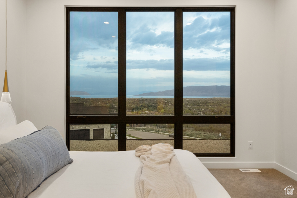 Bedroom with baseboards, carpet flooring, and multiple windows