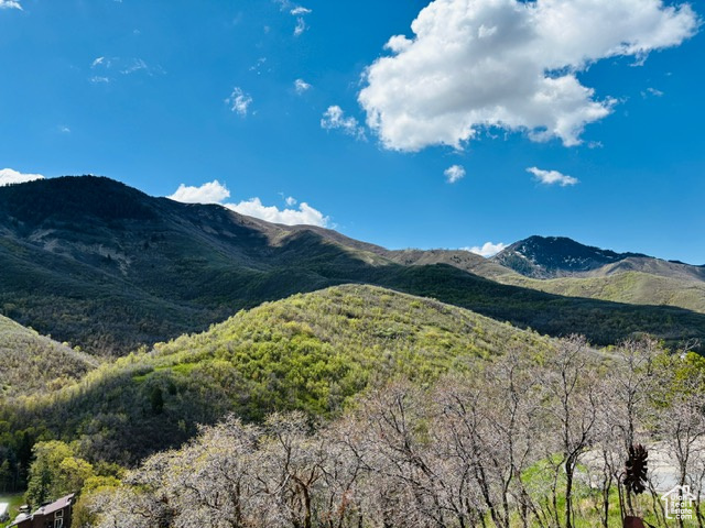 Property view of mountains featuring a wooded view