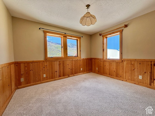 Carpeted spare room with wooden walls, a wainscoted wall, and a textured ceiling