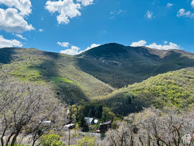 Mountain view with a wooded view