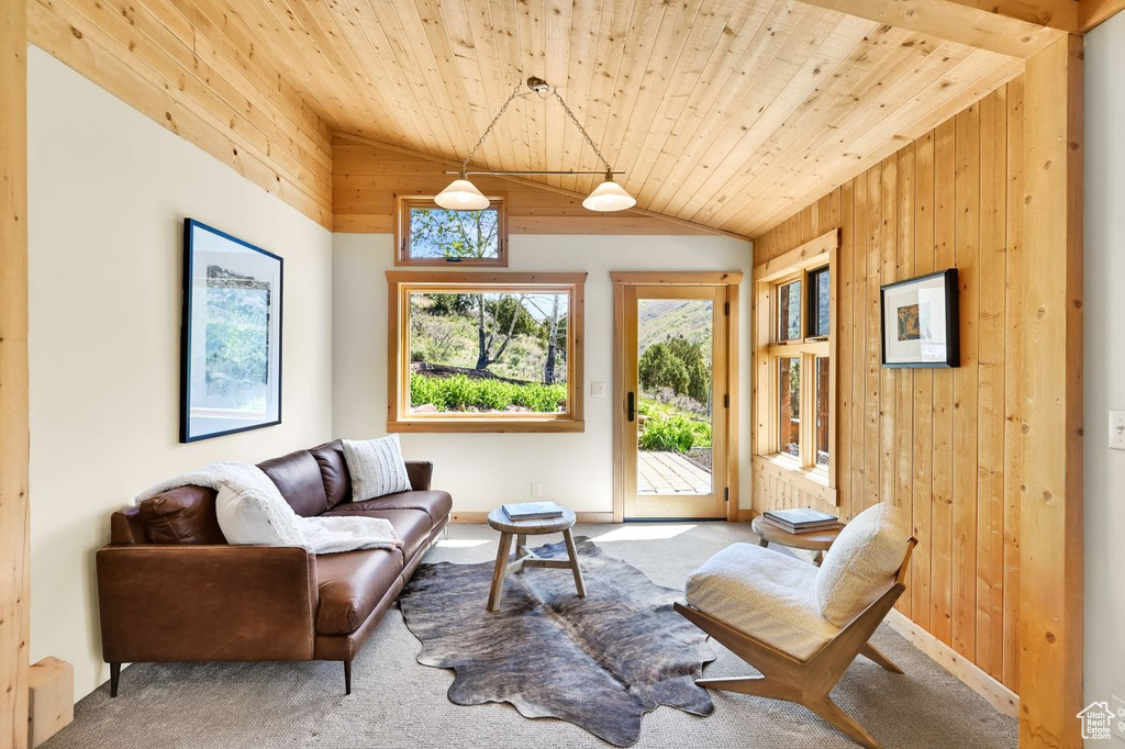 Living room with wood ceiling, baseboards, lofted ceiling, wooden walls, and carpet