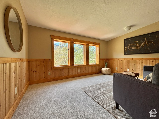 Carpeted living room with wainscoting, wood walls, and a textured ceiling