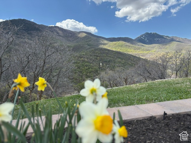 Property view of mountains