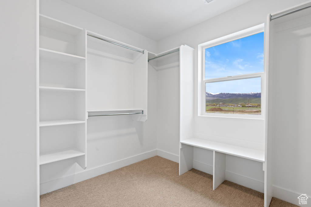 Spacious closet with carpet flooring