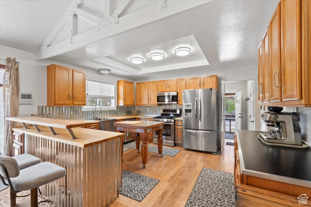 Kitchen featuring decorative backsplash, light wood finished floors, stainless steel appliances, and a peninsula