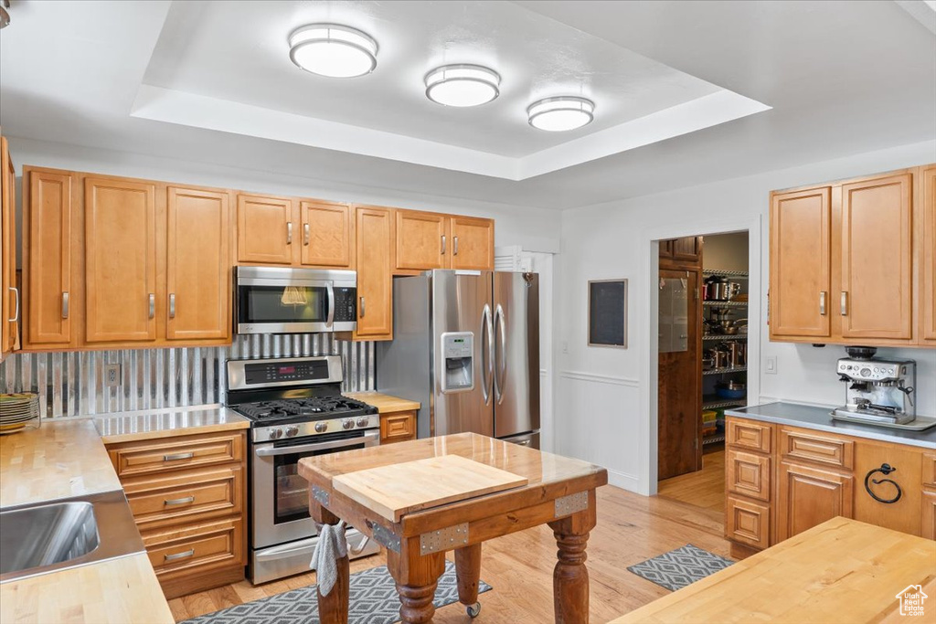 Kitchen featuring light wood-style floors, a sink, appliances with stainless steel finishes, and a tray ceiling