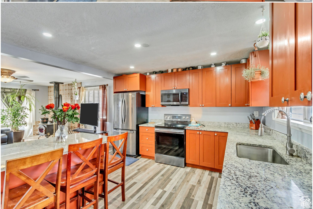 Kitchen with a sink, recessed lighting, a ceiling fan, light wood-style flooring, and appliances with stainless steel finishes
