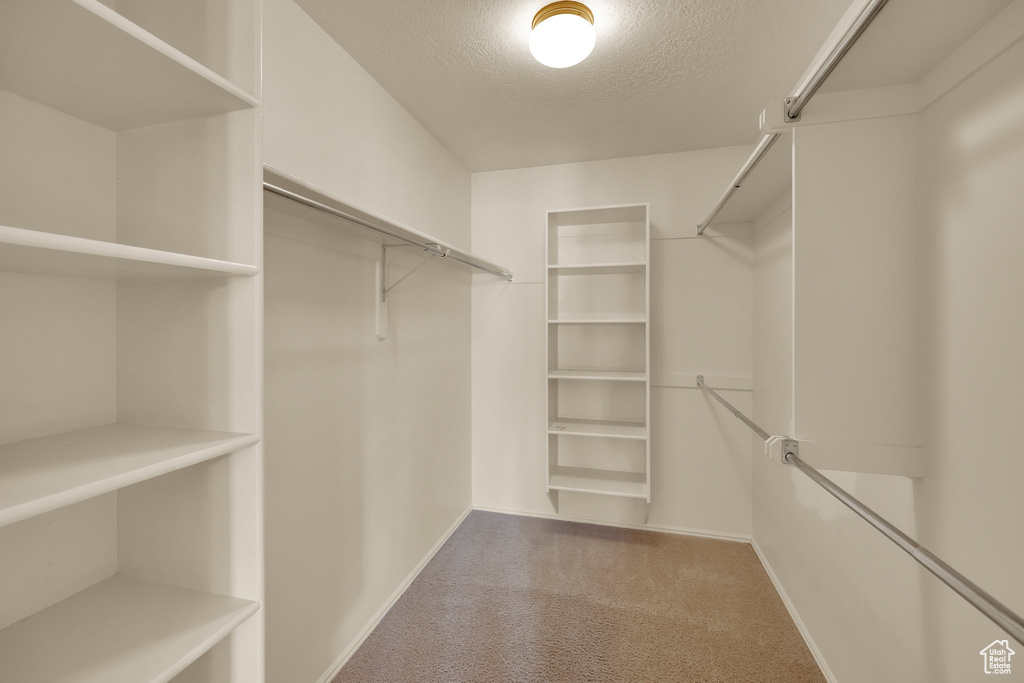 Walk in closet with carpet flooring