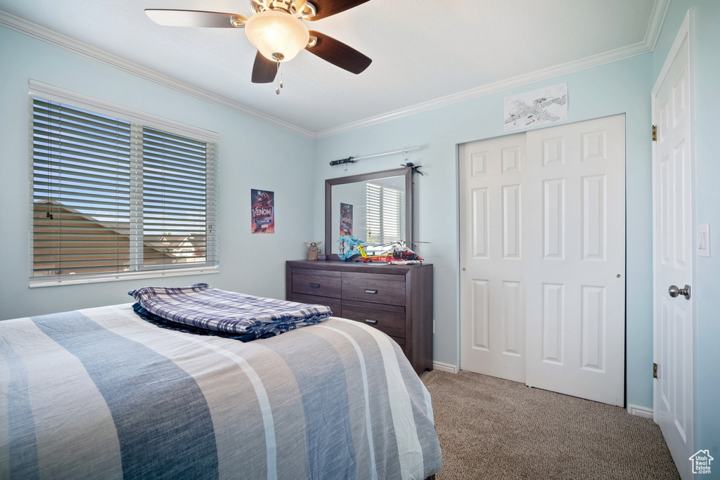 Bedroom featuring baseboards, ceiling fan, crown molding, and carpet flooring