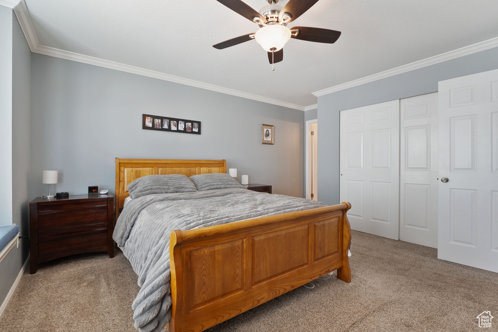 Bedroom with light colored carpet, a ceiling fan, ornamental molding, and a closet