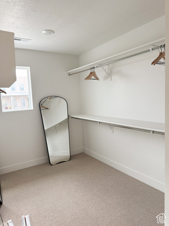 Spacious closet with visible vents and light carpet