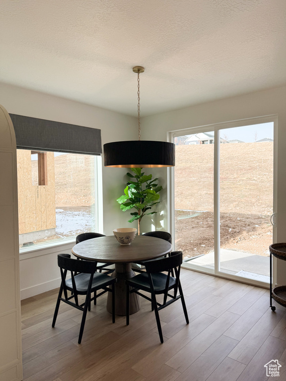 Dining area featuring light wood-style floors