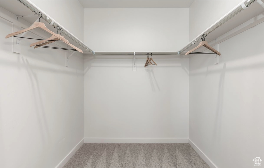 Walk in closet featuring carpet flooring