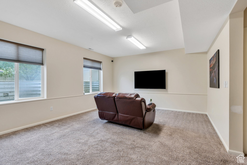 Living area with a healthy amount of sunlight, carpet floors, and baseboards