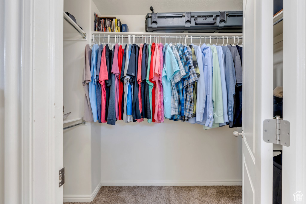Spacious closet featuring carpet