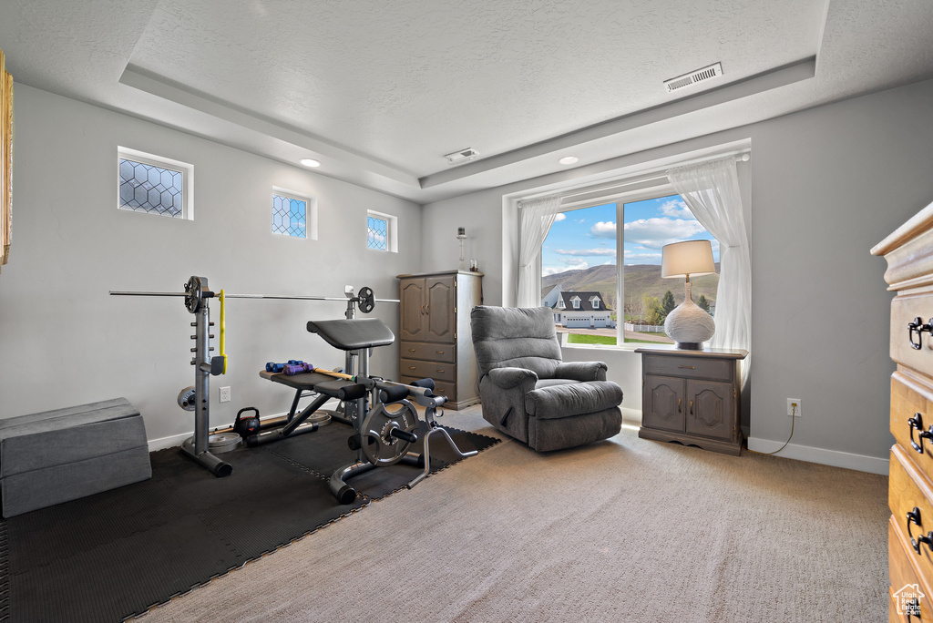 Exercise area featuring a textured ceiling, baseboards, visible vents, and a raised ceiling