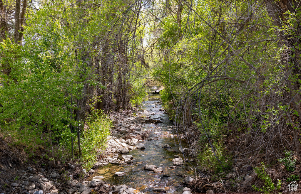View of nature with a wooded view