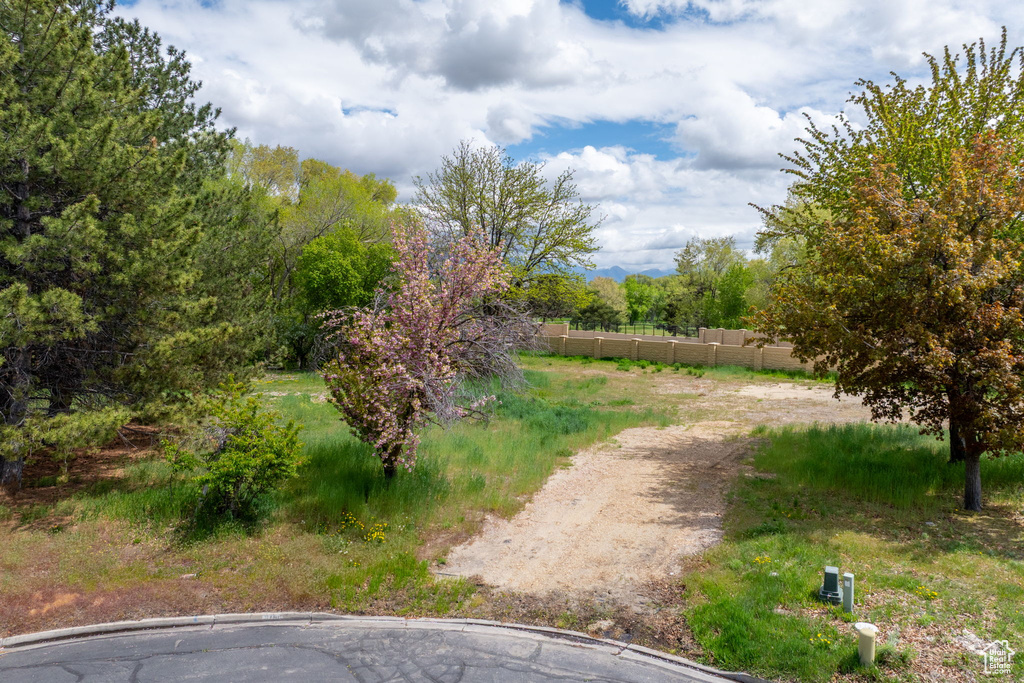 View of road
