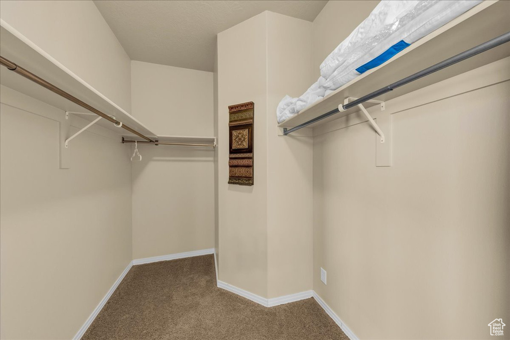 Spacious closet featuring carpet flooring