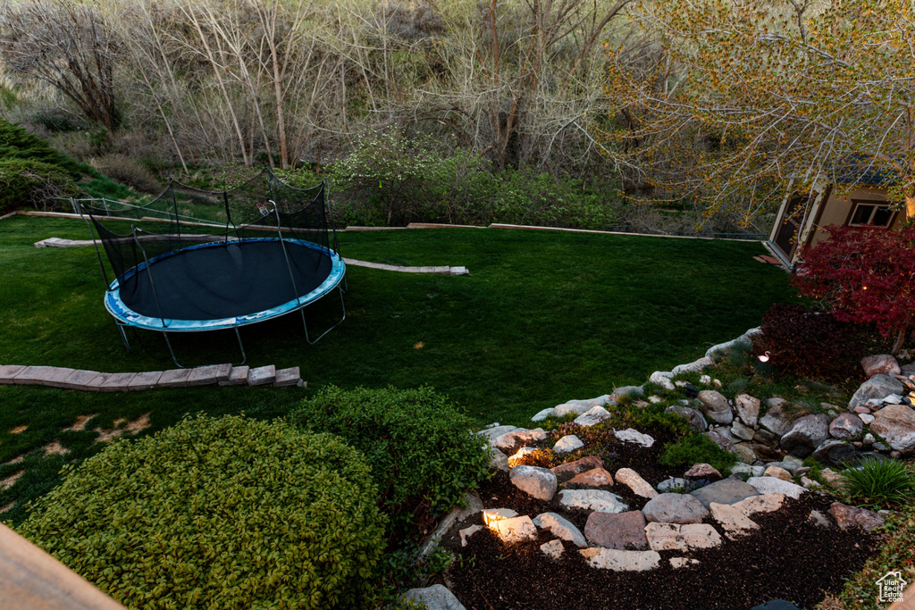 View of yard with a trampoline