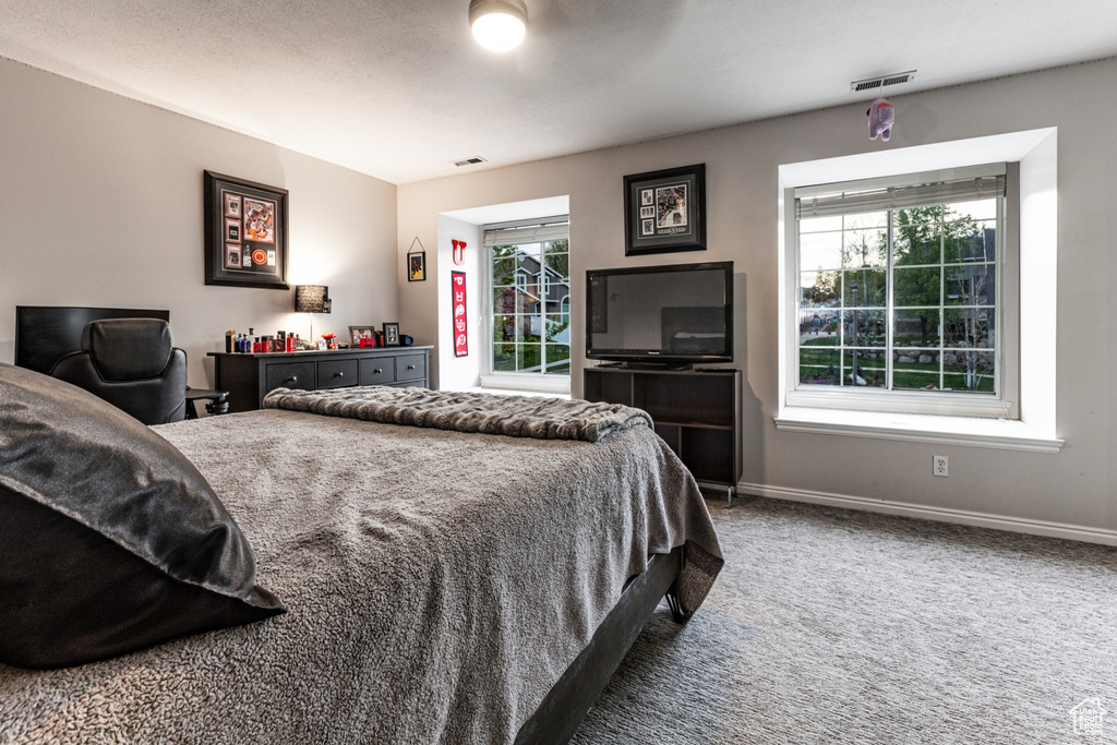 Bedroom with baseboards, carpet, and visible vents