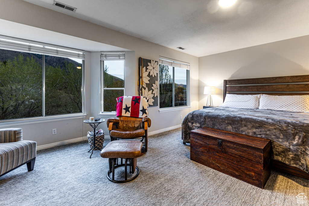 Carpeted bedroom with visible vents and baseboards