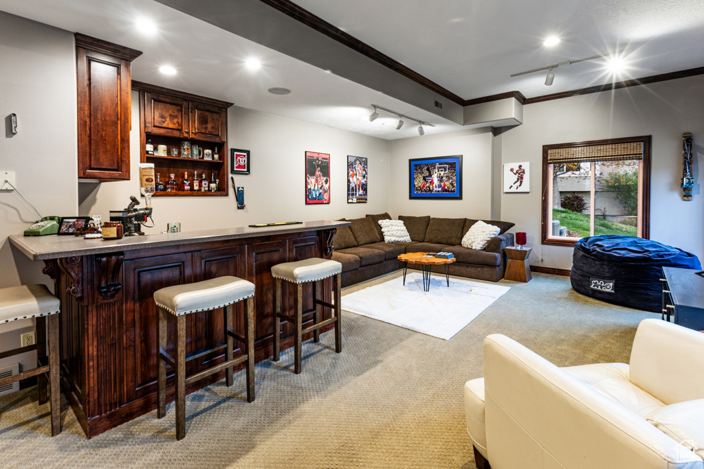 Bar featuring crown molding, a dry bar, track lighting, light carpet, and recessed lighting