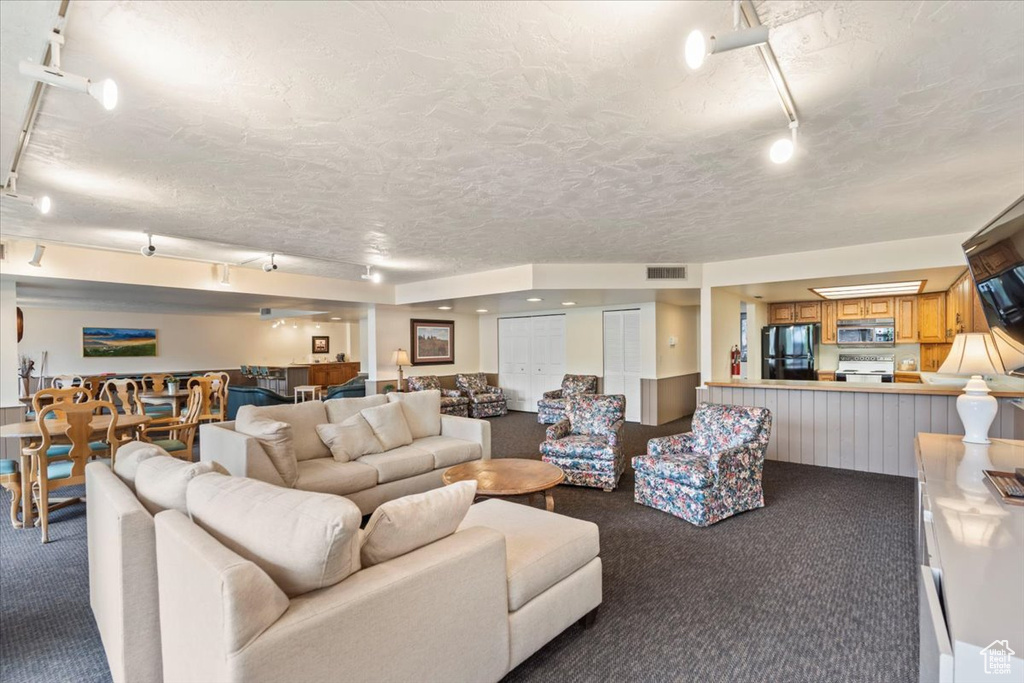 Living room featuring track lighting, carpet floors, and visible vents