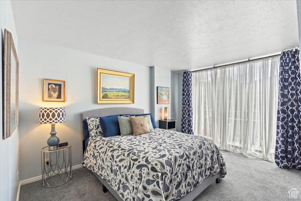 Carpeted bedroom featuring baseboards, a textured ceiling, and access to outside