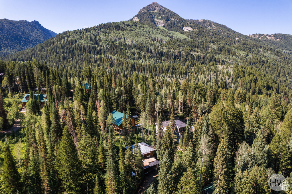 View of mountain feature featuring a wooded view
