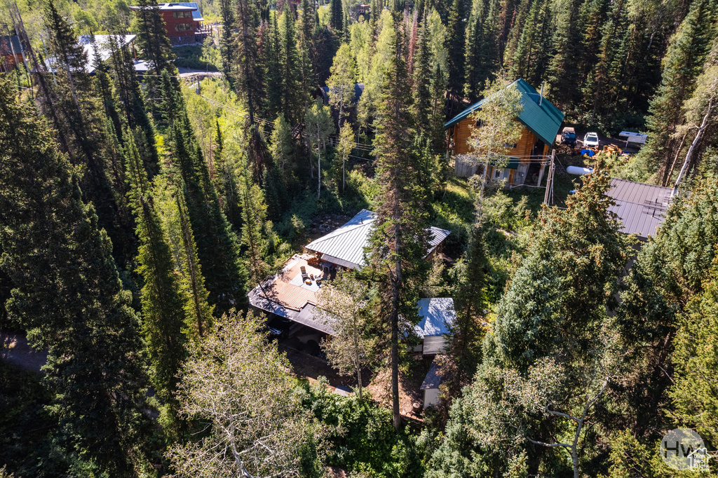 Drone / aerial view featuring a view of trees