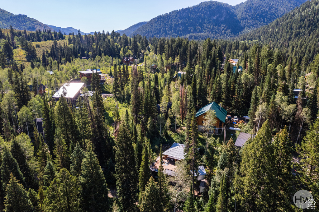 Drone / aerial view featuring a mountain view and a forest view