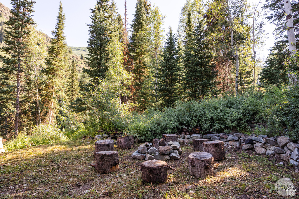 View of yard featuring a forest view