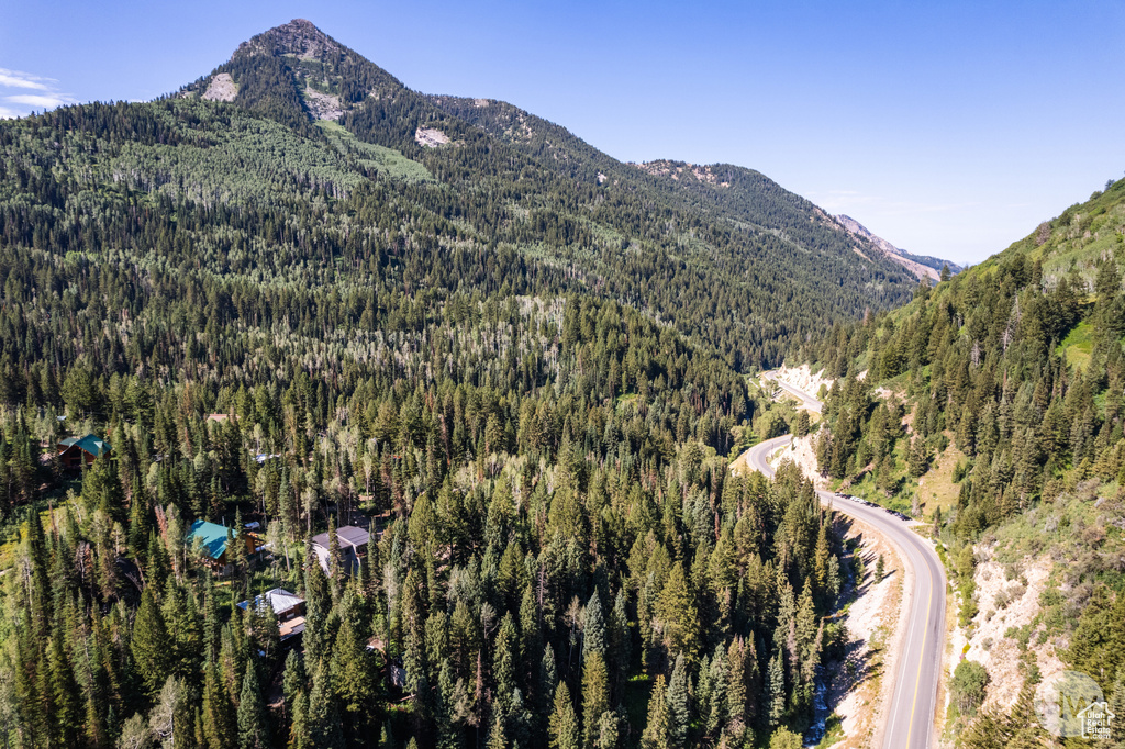 View of mountain feature with a wooded view