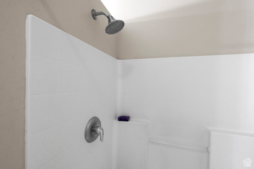 Interior details with a tile shower