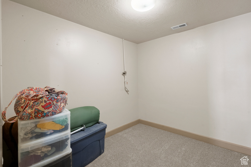 Interior space with carpet floors, a textured ceiling, baseboards, and visible vents