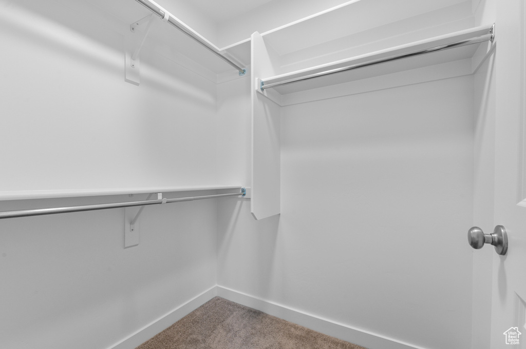 Walk in closet featuring carpet floors