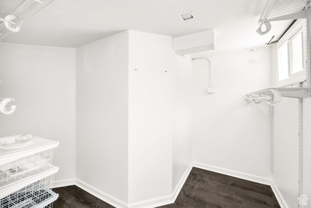 Spacious closet featuring wood finished floors