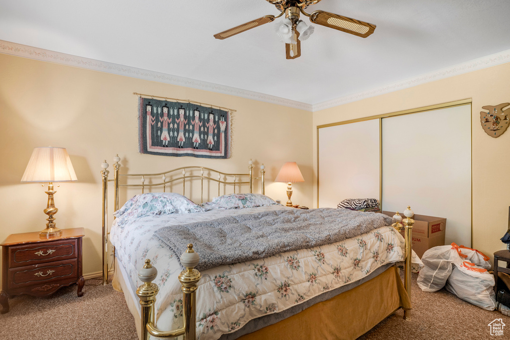 Carpeted bedroom with a ceiling fan, ornamental molding, and a closet